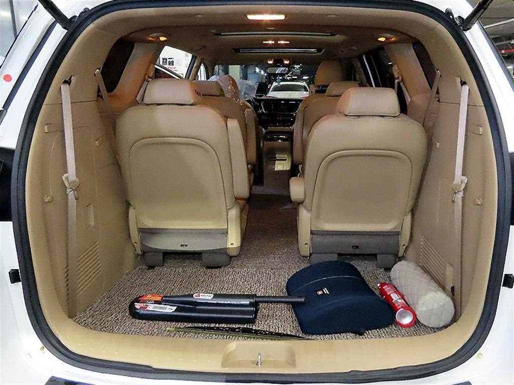 Kia Carnival — photo 16