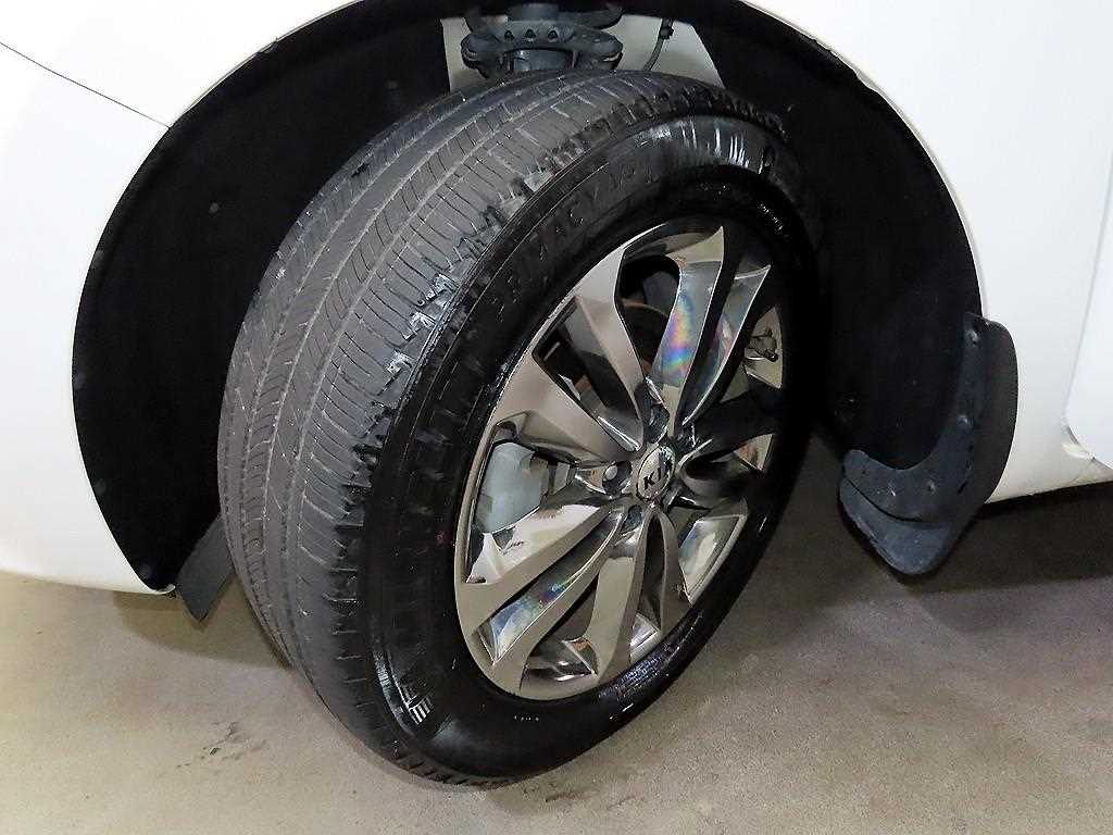 Kia Carnival — photo 20