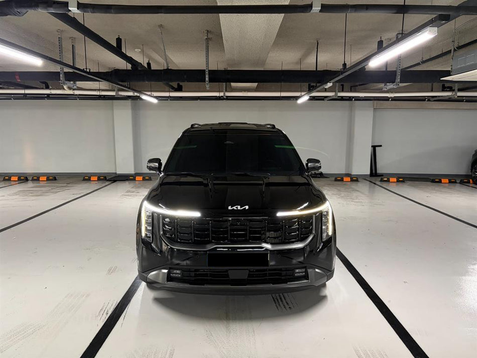 Kia Carnival — photo 01