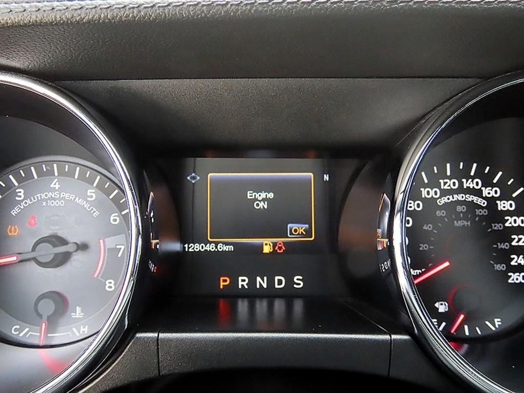 Ford Mustang — photo 09
