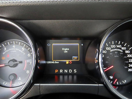 Ford Mustang — photo 09