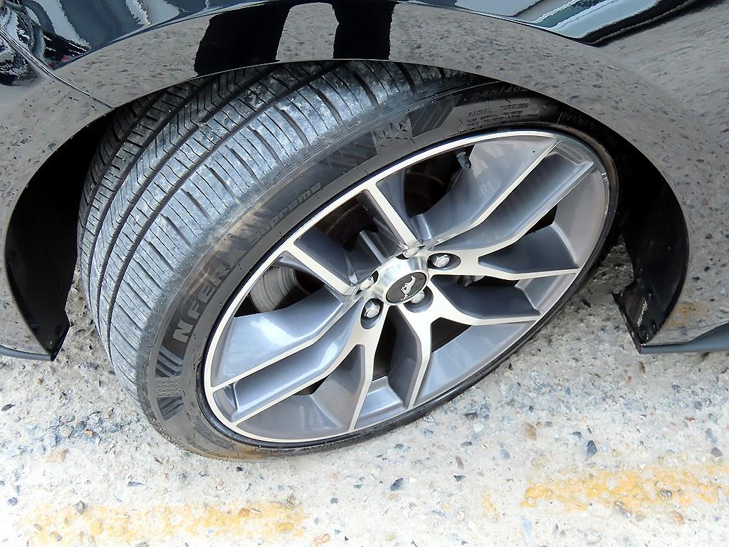 Ford Mustang — photo 18