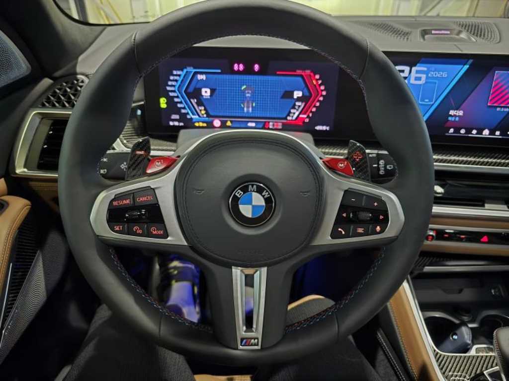 BMW X5M — photo 06