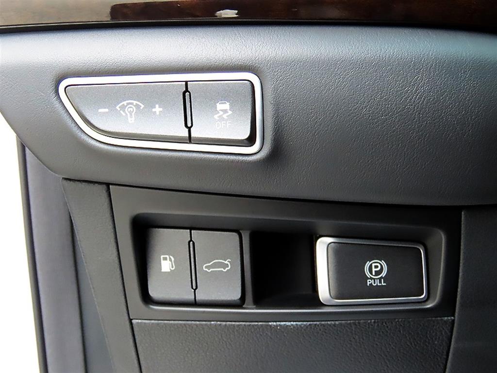Genesis EQ900 — photo 12
