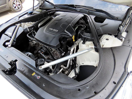 Genesis EQ900 — photo 19