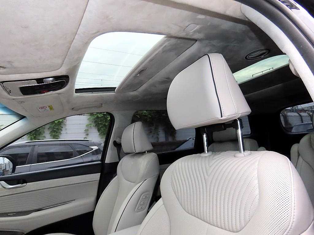 Hyundai Palisade — photo 16