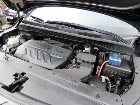Kia Carnival — photo 19