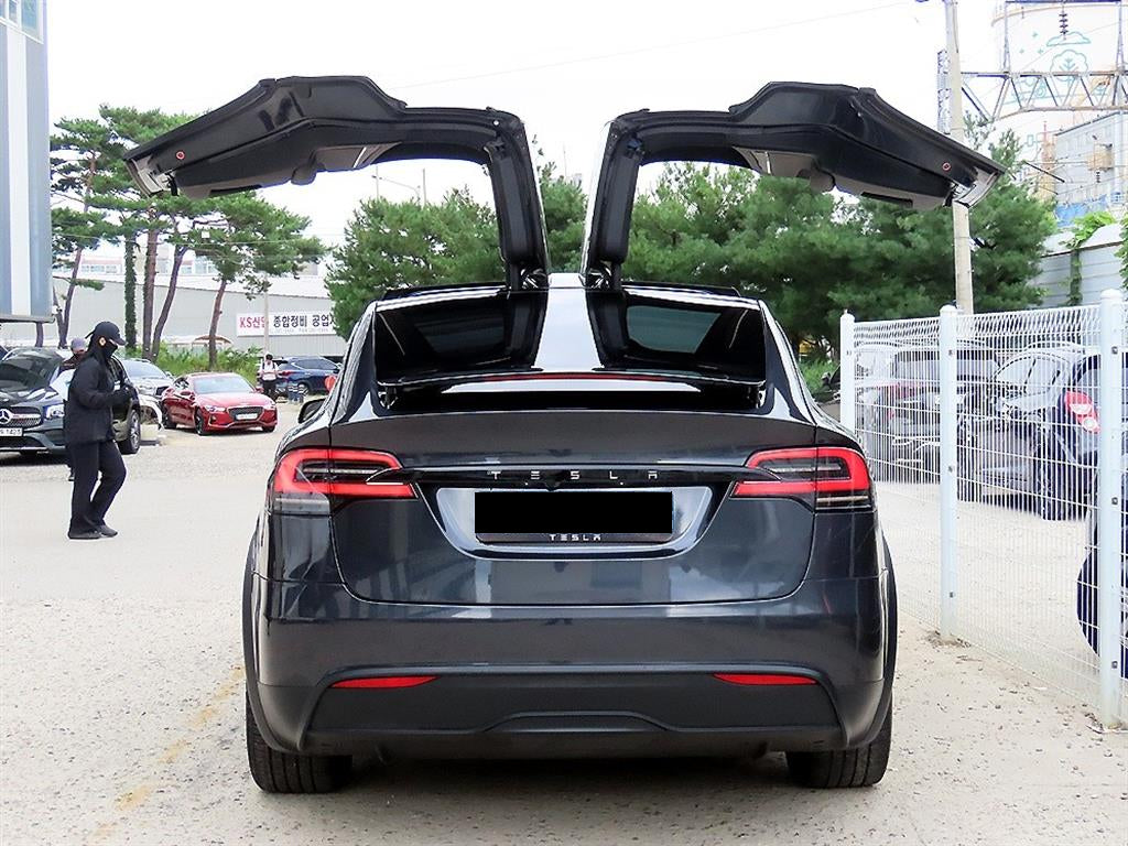 Tesla Model X — photo 08
