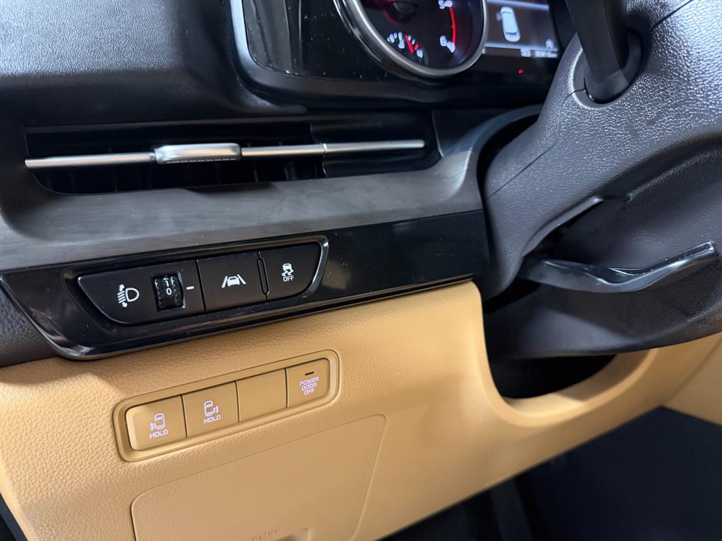 Kia Carnival — photo 07