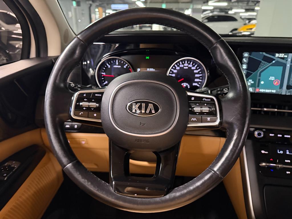 Kia Carnival — photo 10