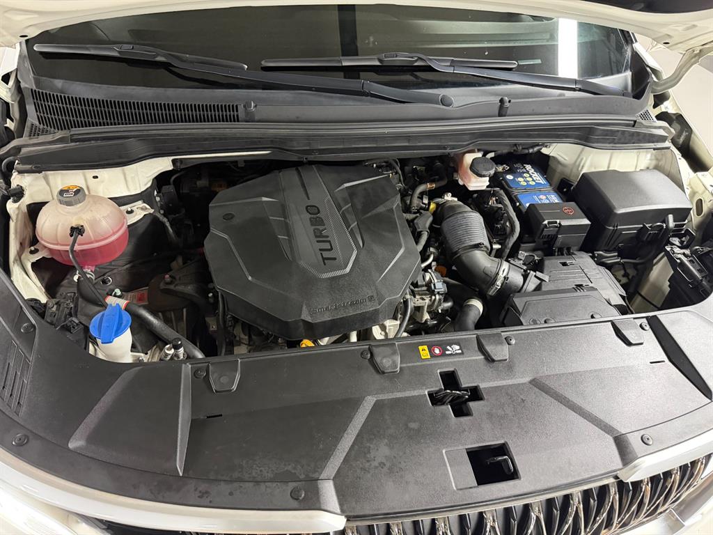 Kia Carnival — photo 20