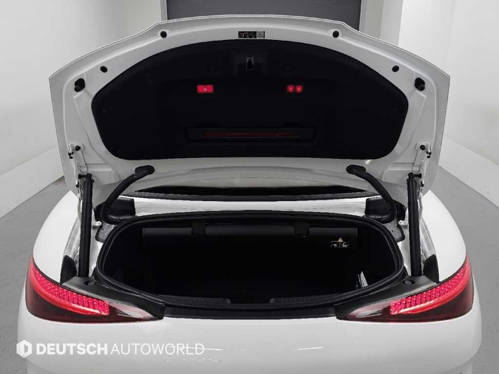 Mercedes-Benz SL-Class — photo 18