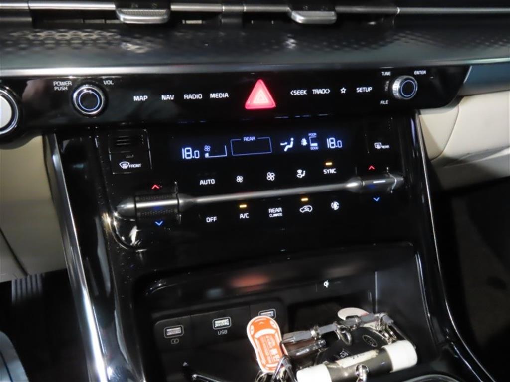 Kia Carnival — photo 07