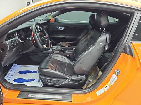 Ford Mustang — photo 11