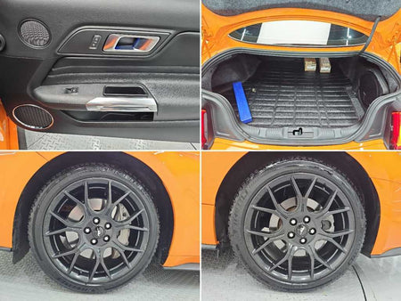 Ford Mustang — photo 18