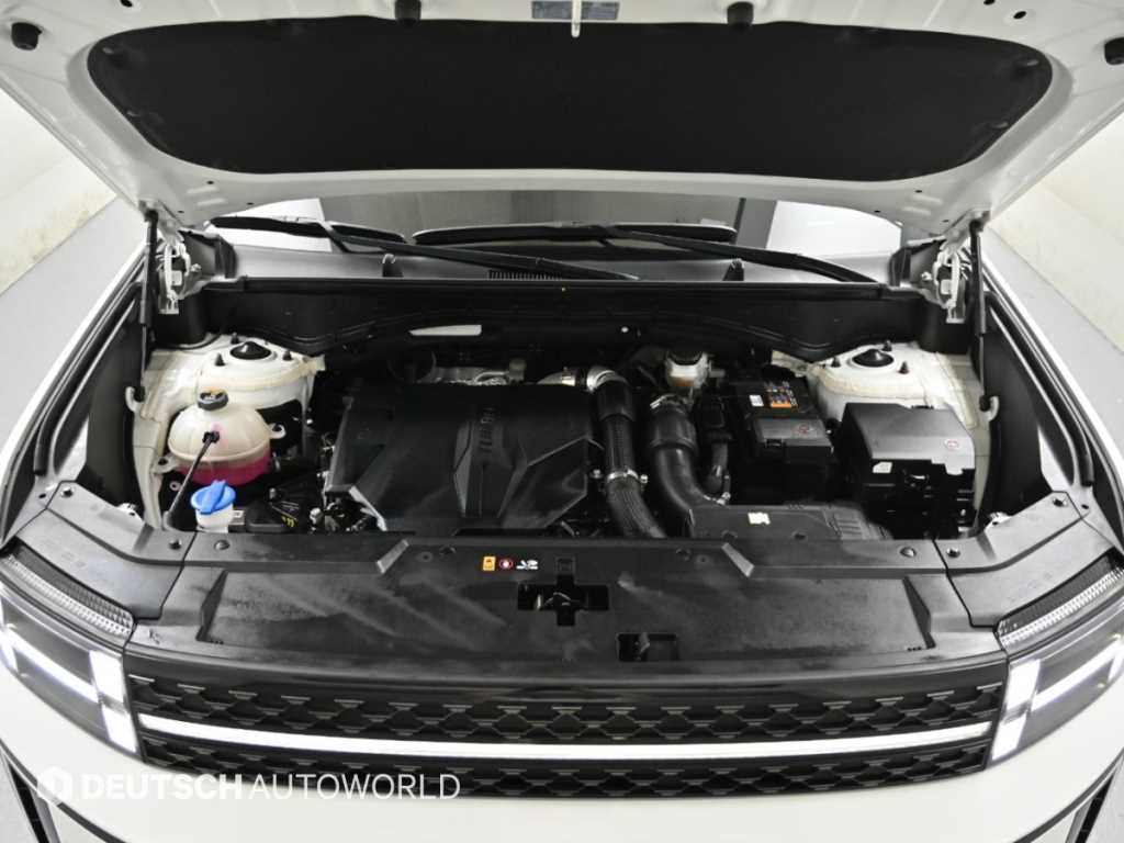 Hyundai Santafe — photo 06