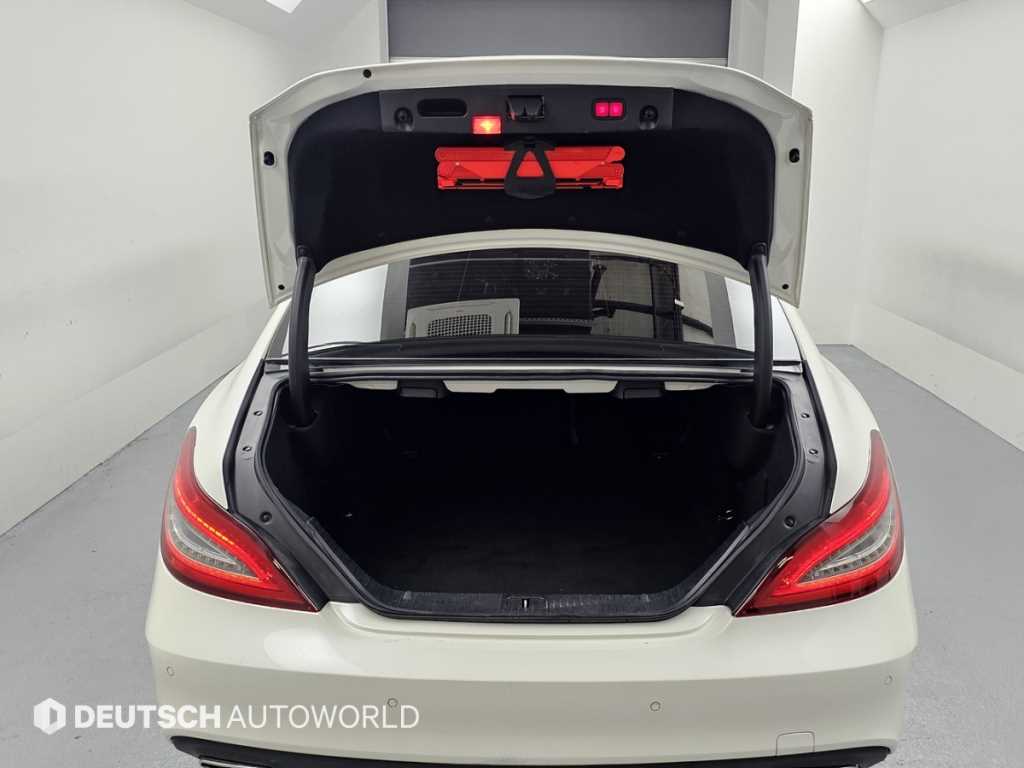 Mercedes-Benz CLS-Class — photo 18