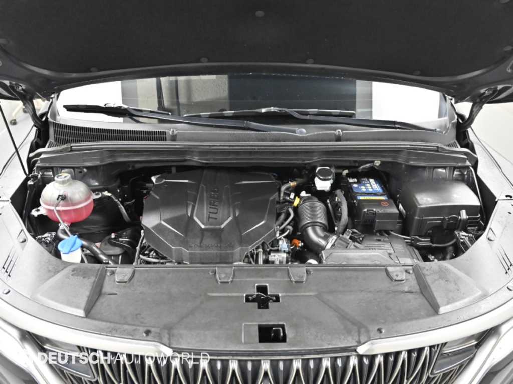 Kia Carnival — photo 06