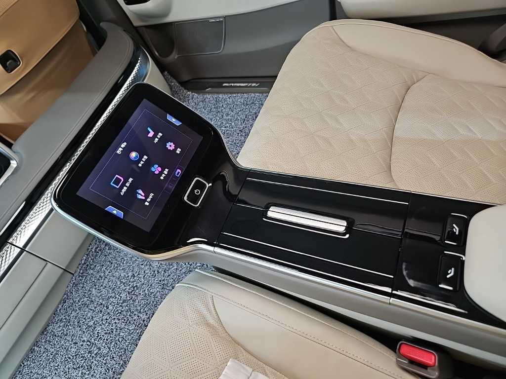 Kia Carnival — photo 14