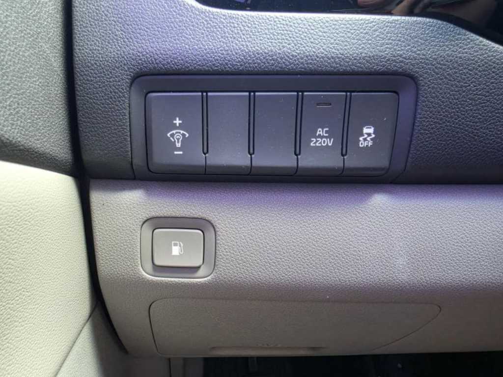 Kia Carnival — photo 17