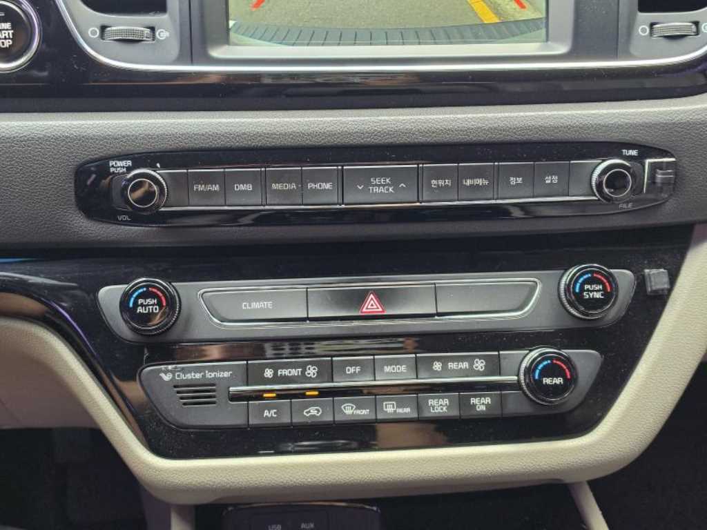 Kia Carnival — photo 20