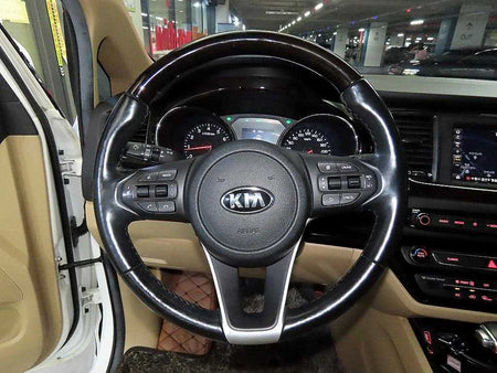 Kia Carnival — photo 08