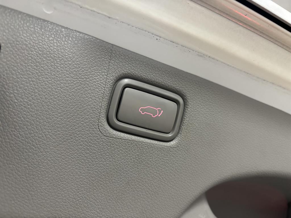 Kia Carnival — photo 15