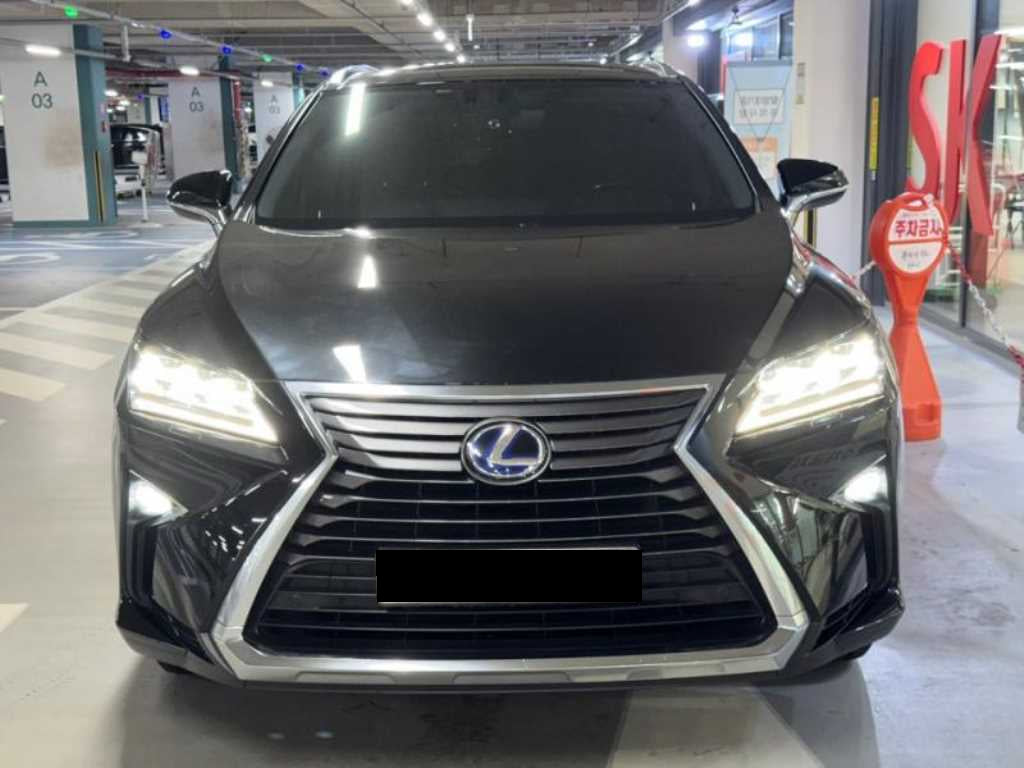 Lexus RX — photo 03