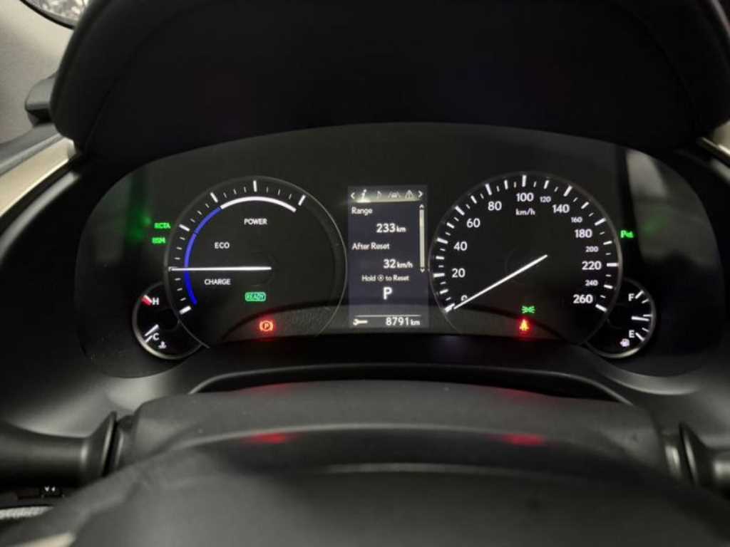 Lexus RX — photo 10