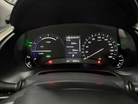 Lexus RX — photo 10