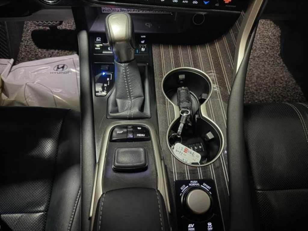 Lexus RX — photo 13