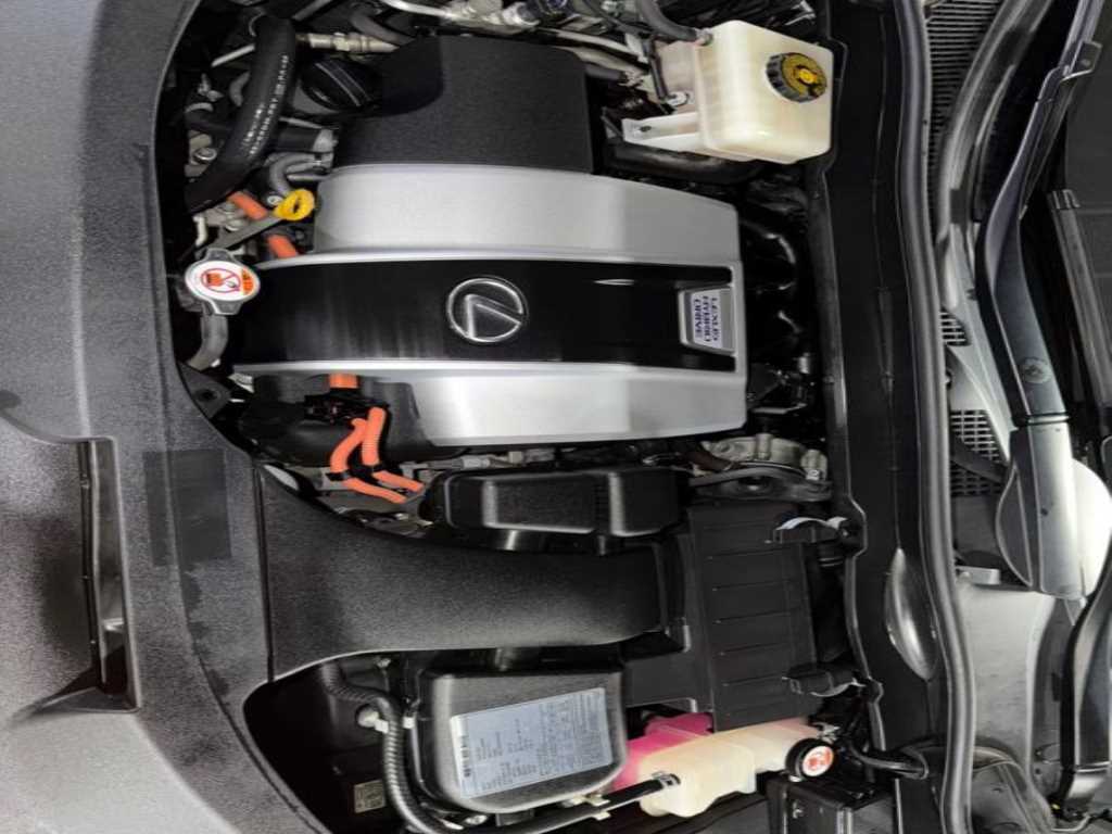 Lexus RX — photo 19