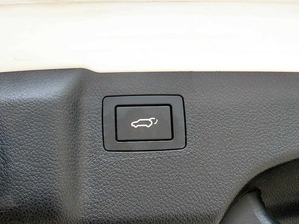 Hyundai Maxcruz — photo 18