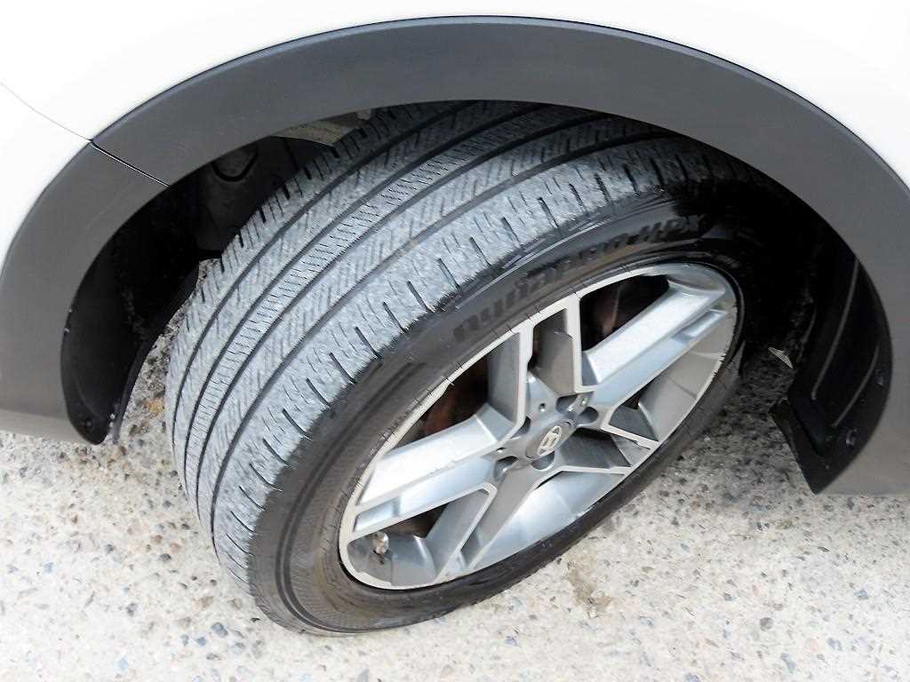 Hyundai Maxcruz — photo 20