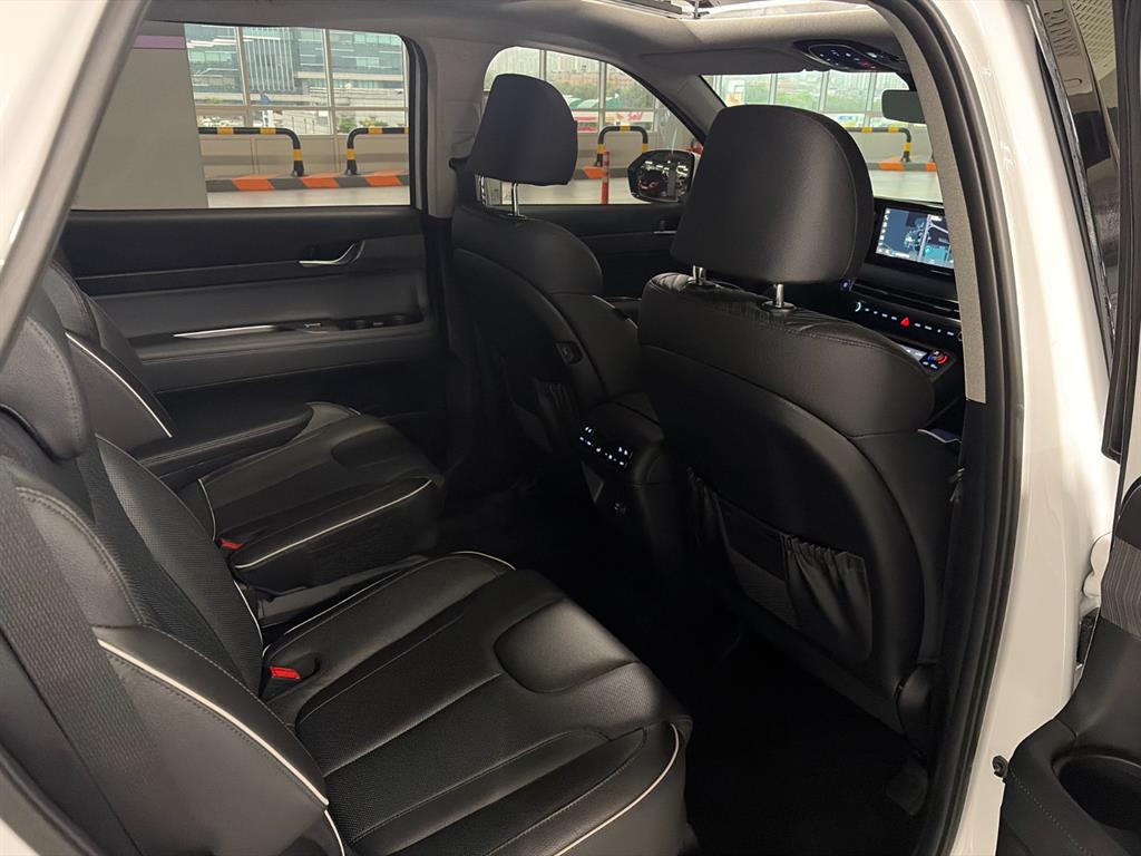 Hyundai Palisade — photo 16