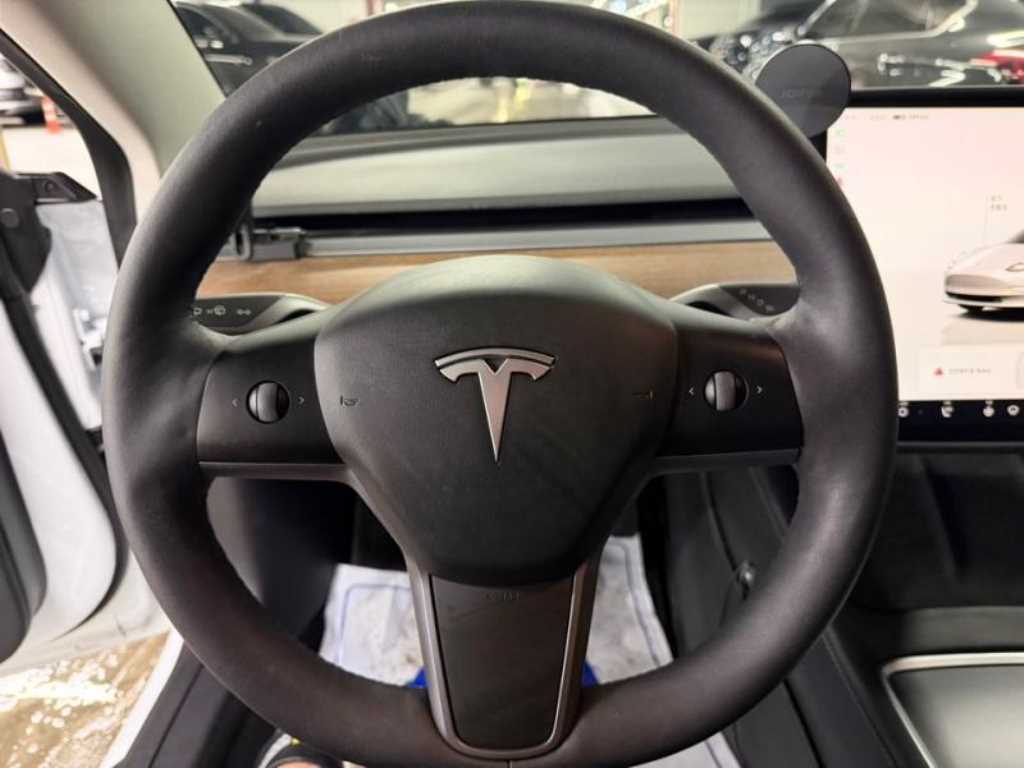 Tesla Model 3 — photo 08