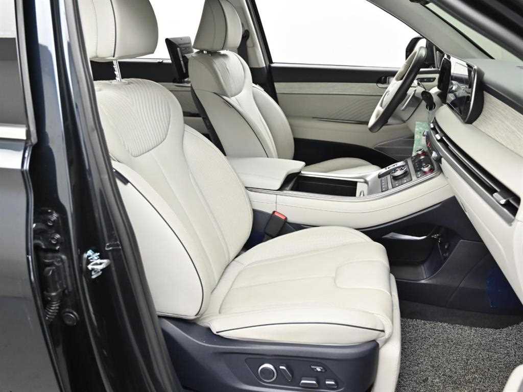Hyundai Palisade — photo 10