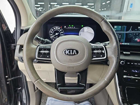 Kia Carnival — photo 08