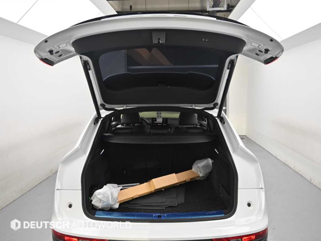 Audi SQ5 — photo 19