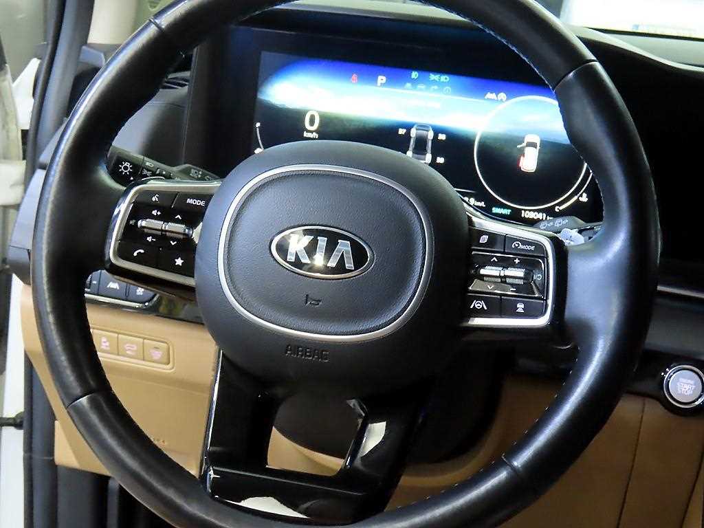 Kia Carnival — photo 08