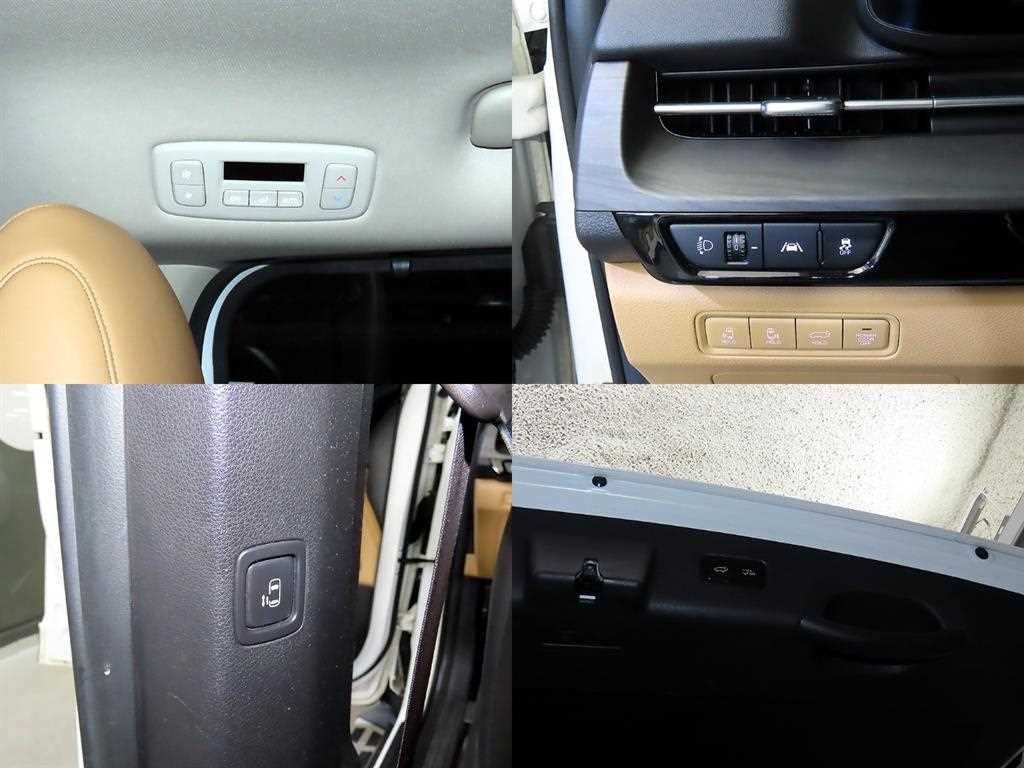 Kia Carnival — photo 18