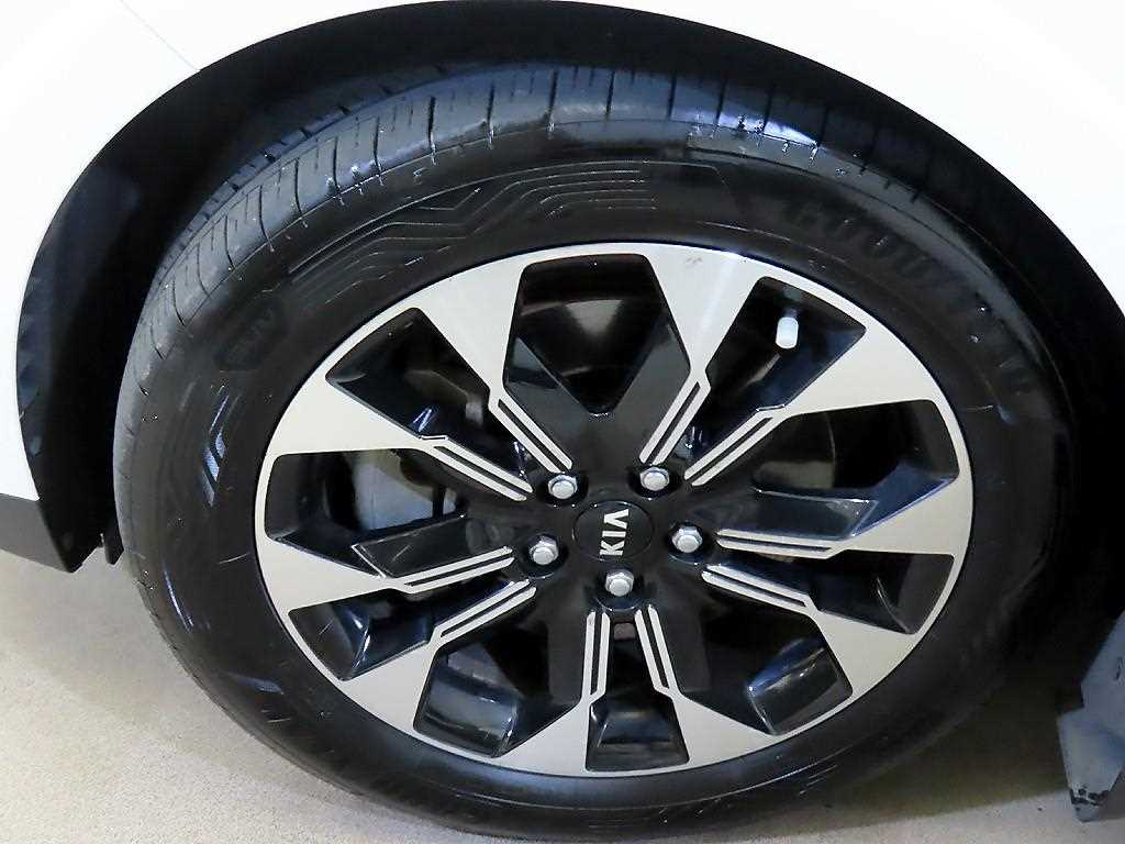 Kia Carnival — photo 20