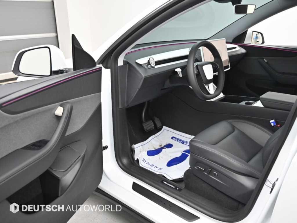 Tesla Model Y — photo 11