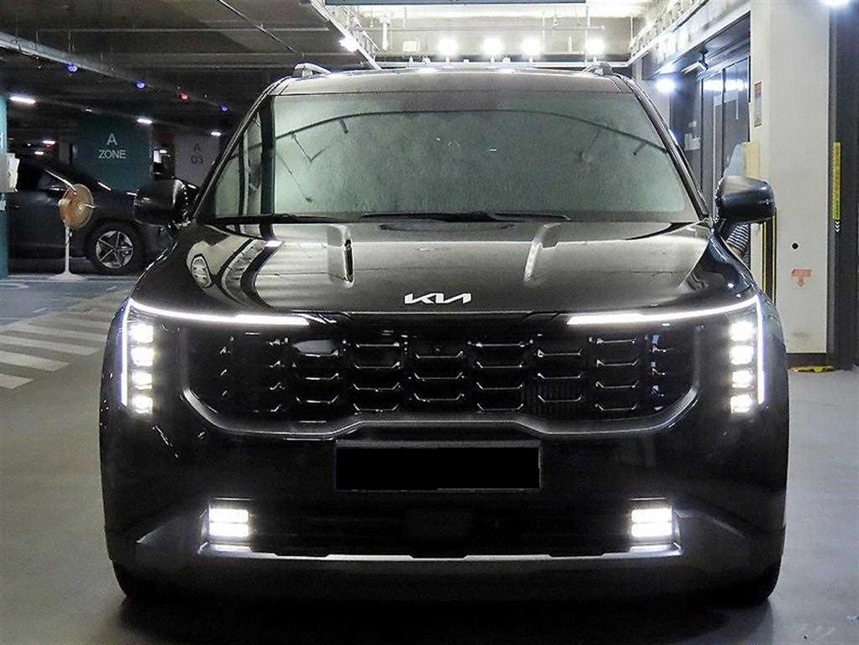 Kia Carnival — photo 02