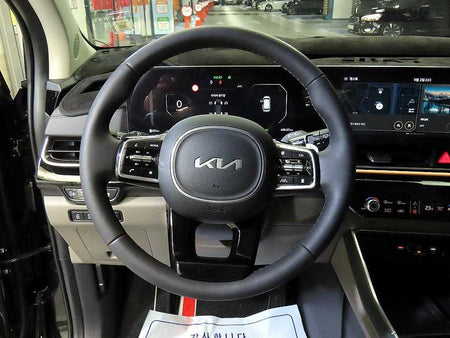 Kia Carnival — photo 08