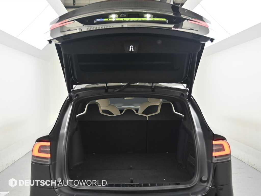 Tesla Model X — photo 18