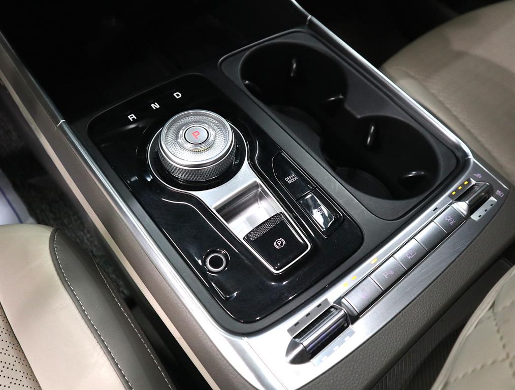 Kia Carnival — photo 13