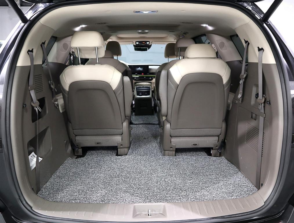 Kia Carnival — photo 15