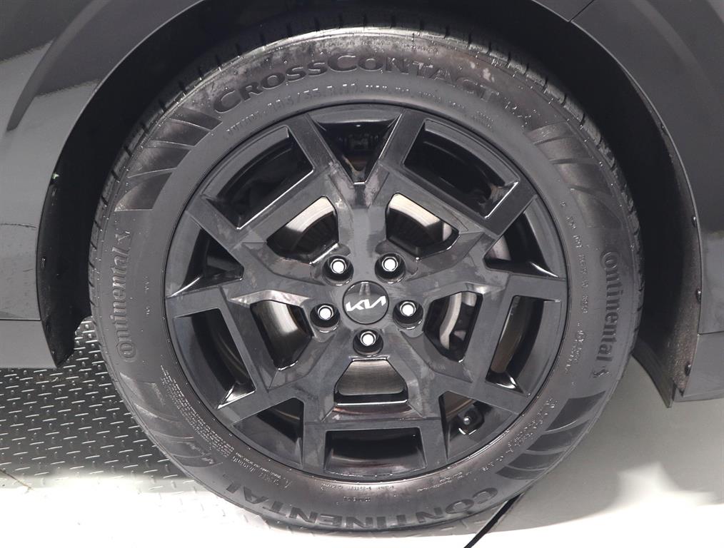 Kia Carnival — photo 16