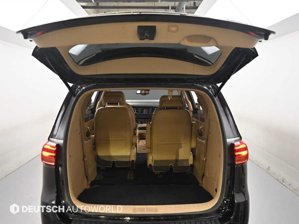 Kia Carnival — photo 19